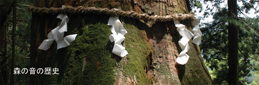 森の音の歴史