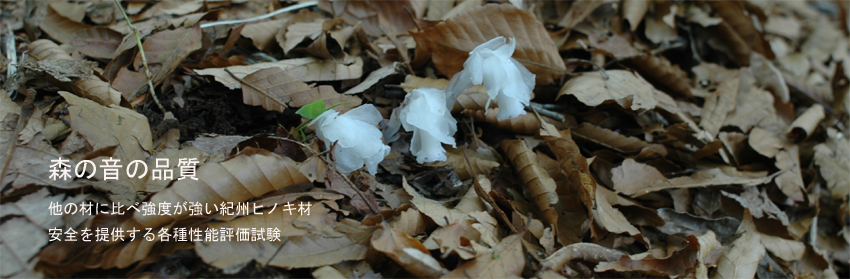 森の音の品質